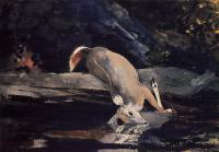 Homer, Winslow - Fallen Deer